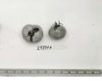 Click for 1 image(s) for this accession. FRUIT